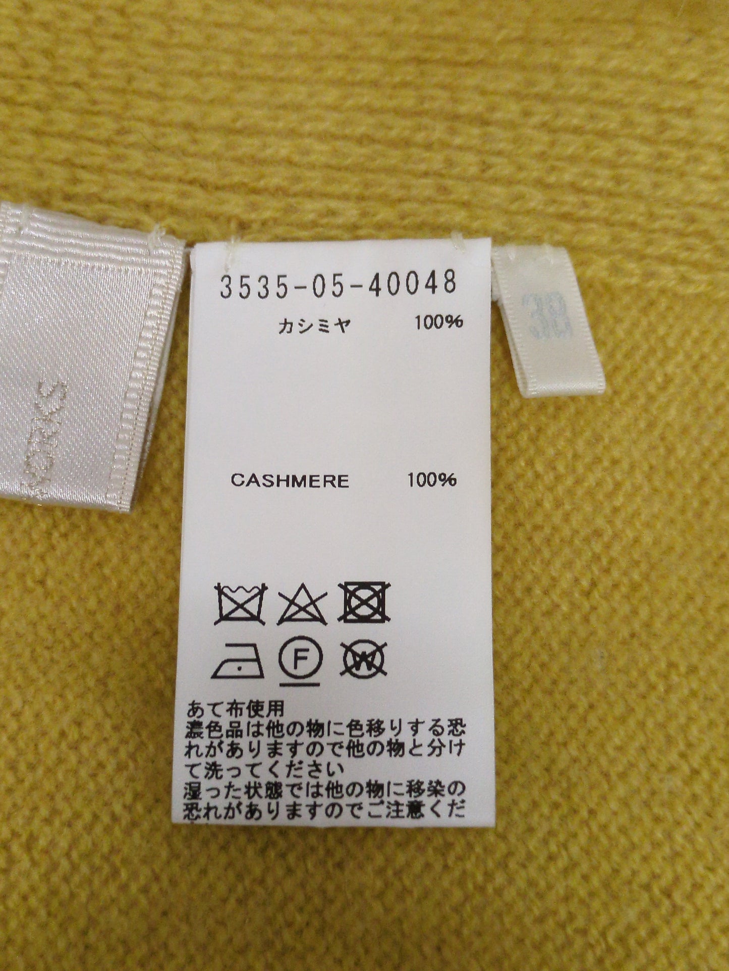 カシミヤタートル