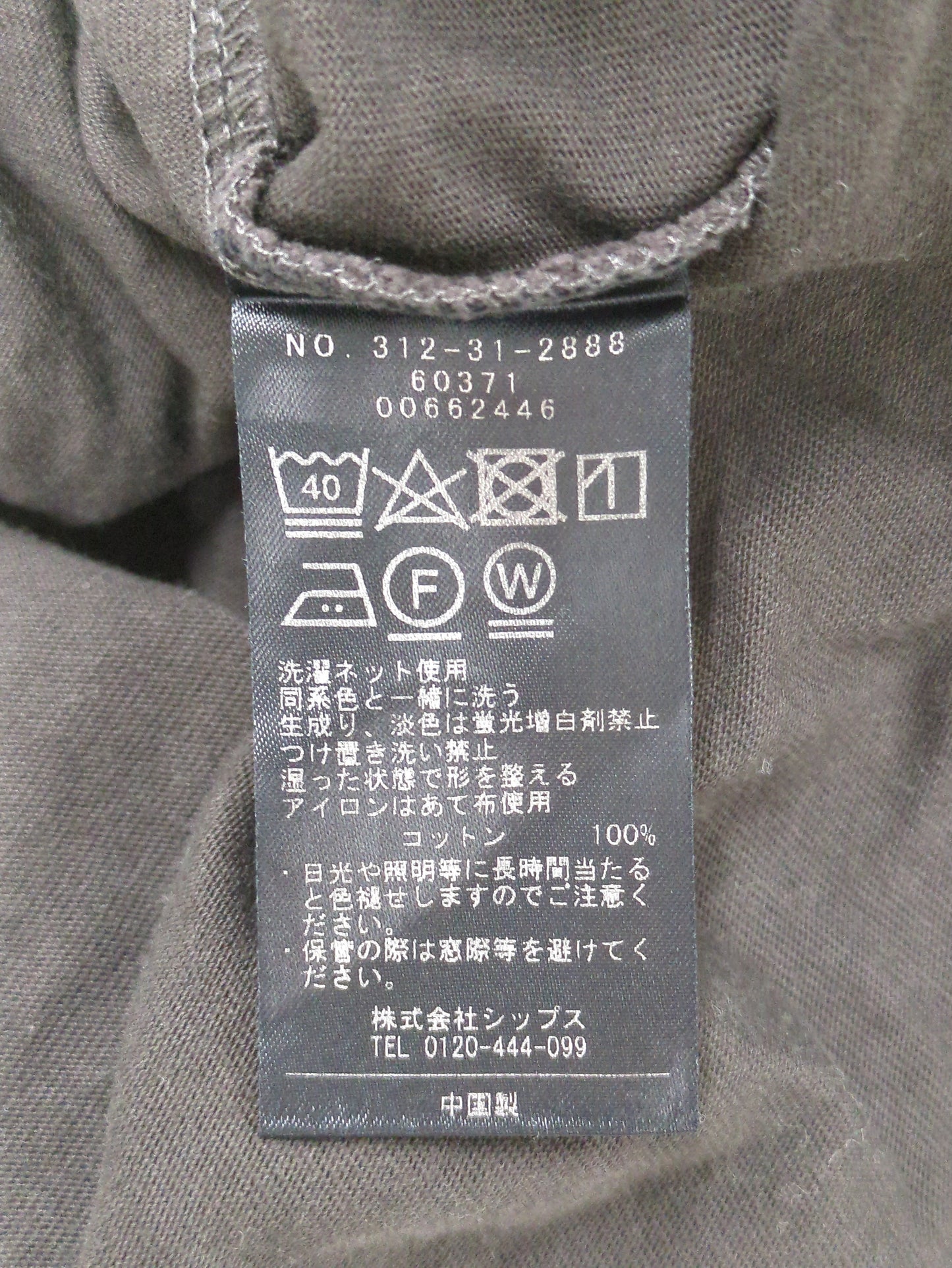 〈洗濯機可能〉バック フリル 半袖 Tシャツ