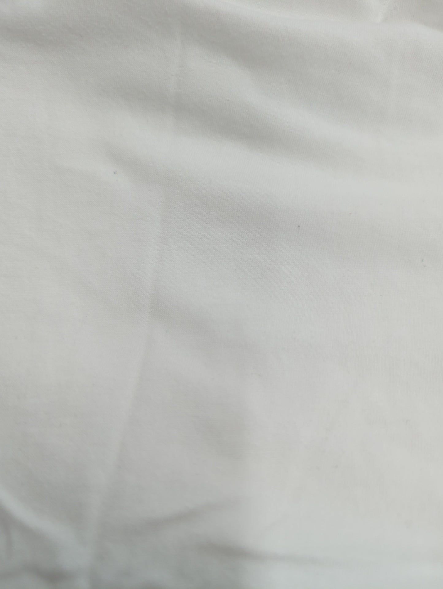 LE MINOR:Tシャツ/カットソー