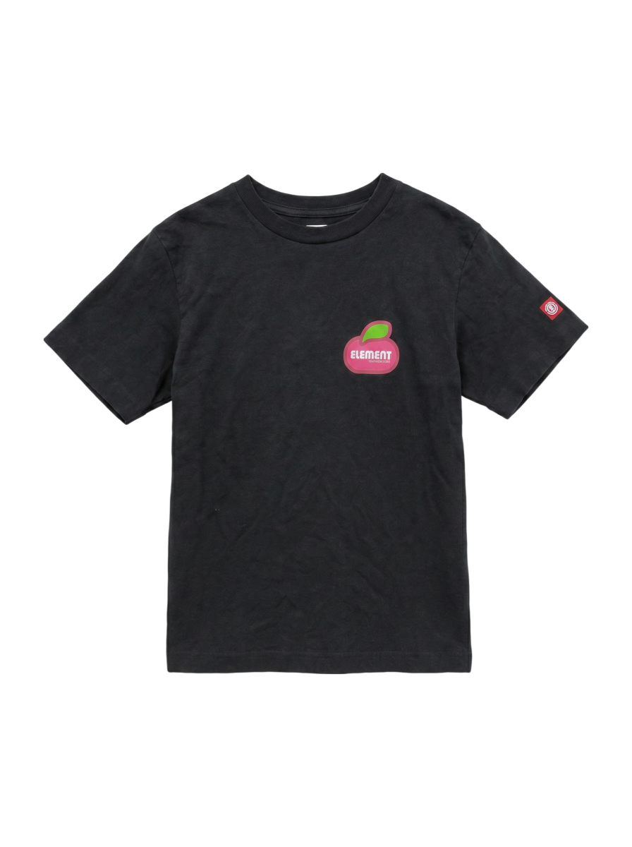 Tｼｬﾂ