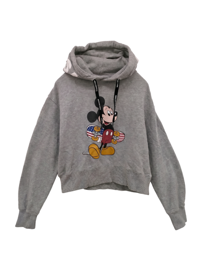 19 WS MICKEY HAS BOA