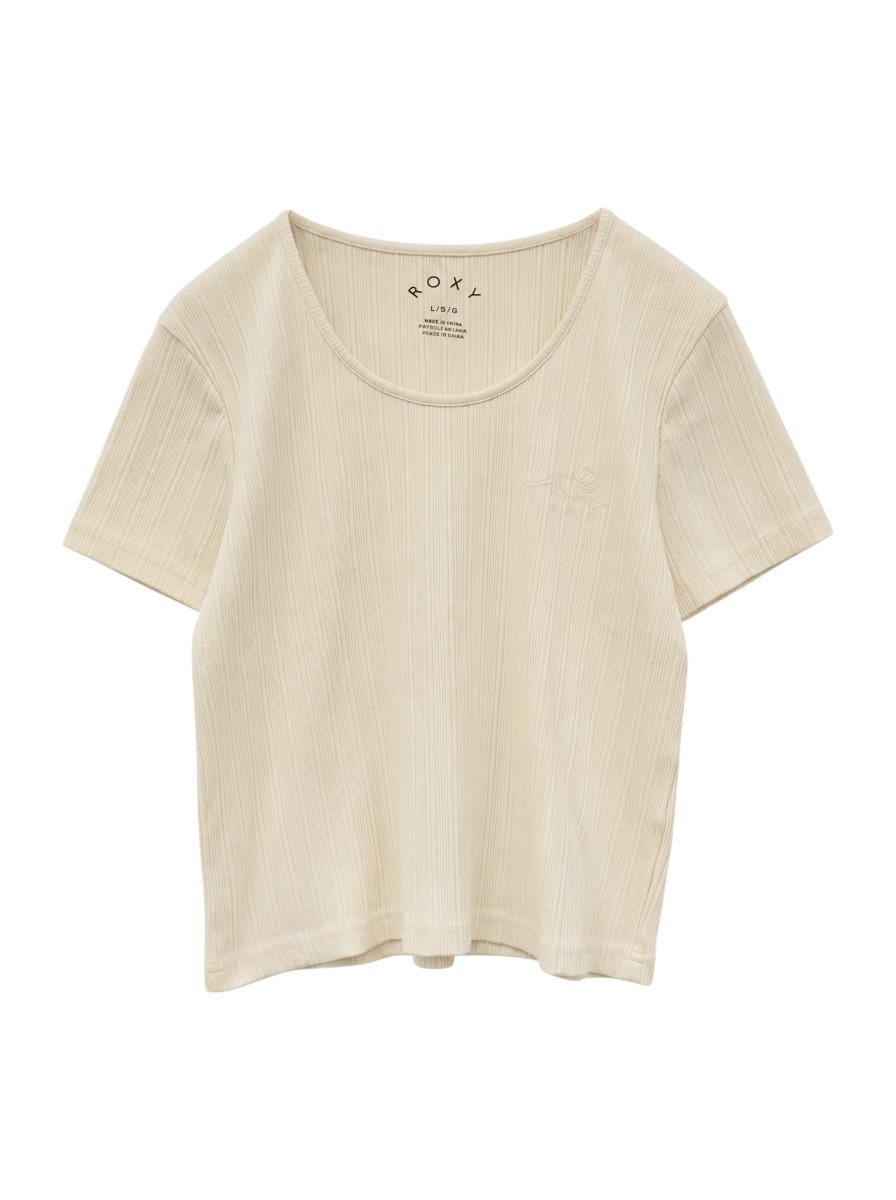 NOT LOSE
