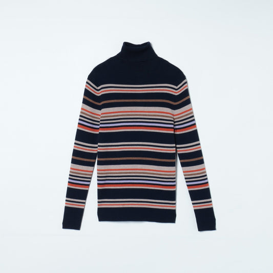 【手洗い可能】エクストラファインメリノウール マルチボーダーリブタートルネックニット