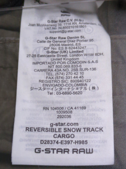 Reversible Snow Track Cargo