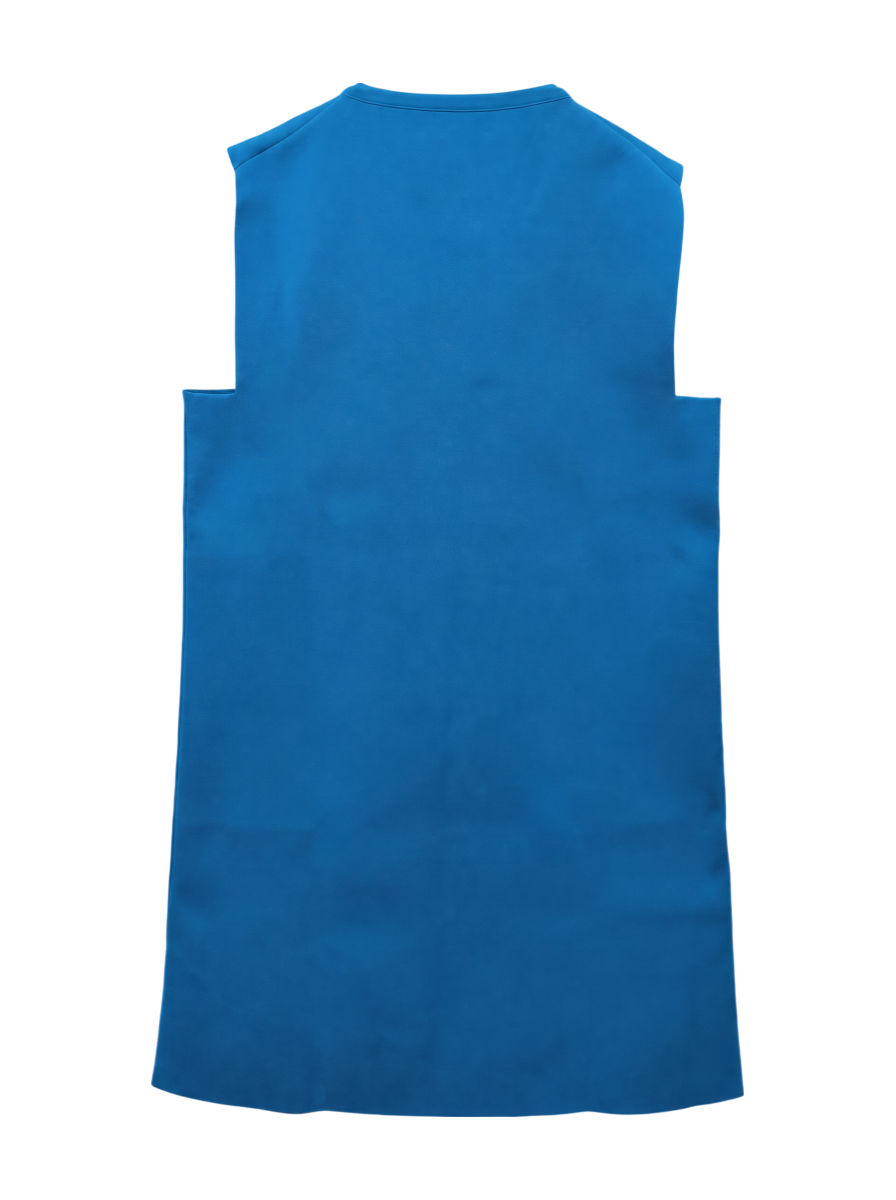 SLVS MINI DRESS