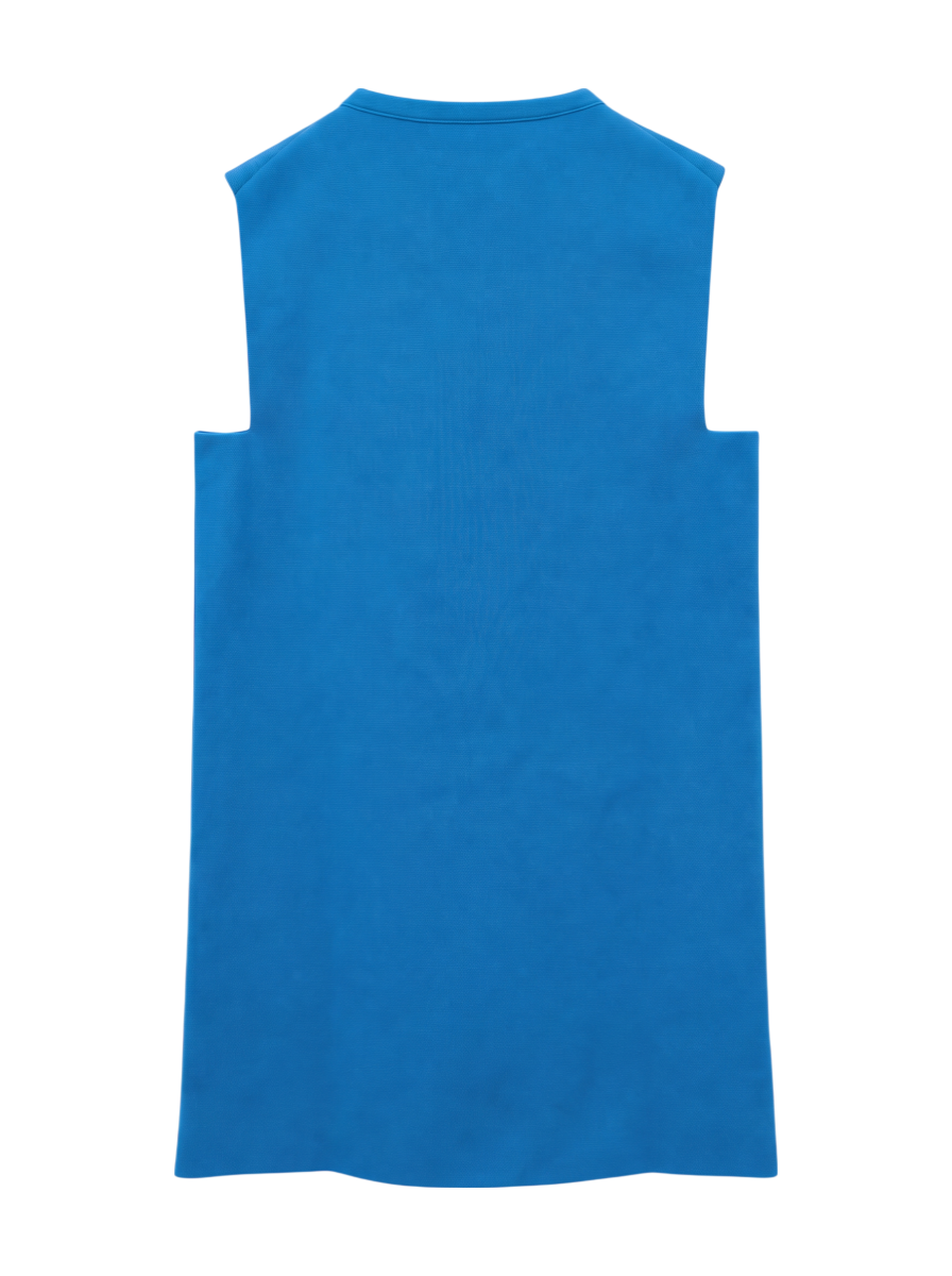 SLVS MINI DRESS