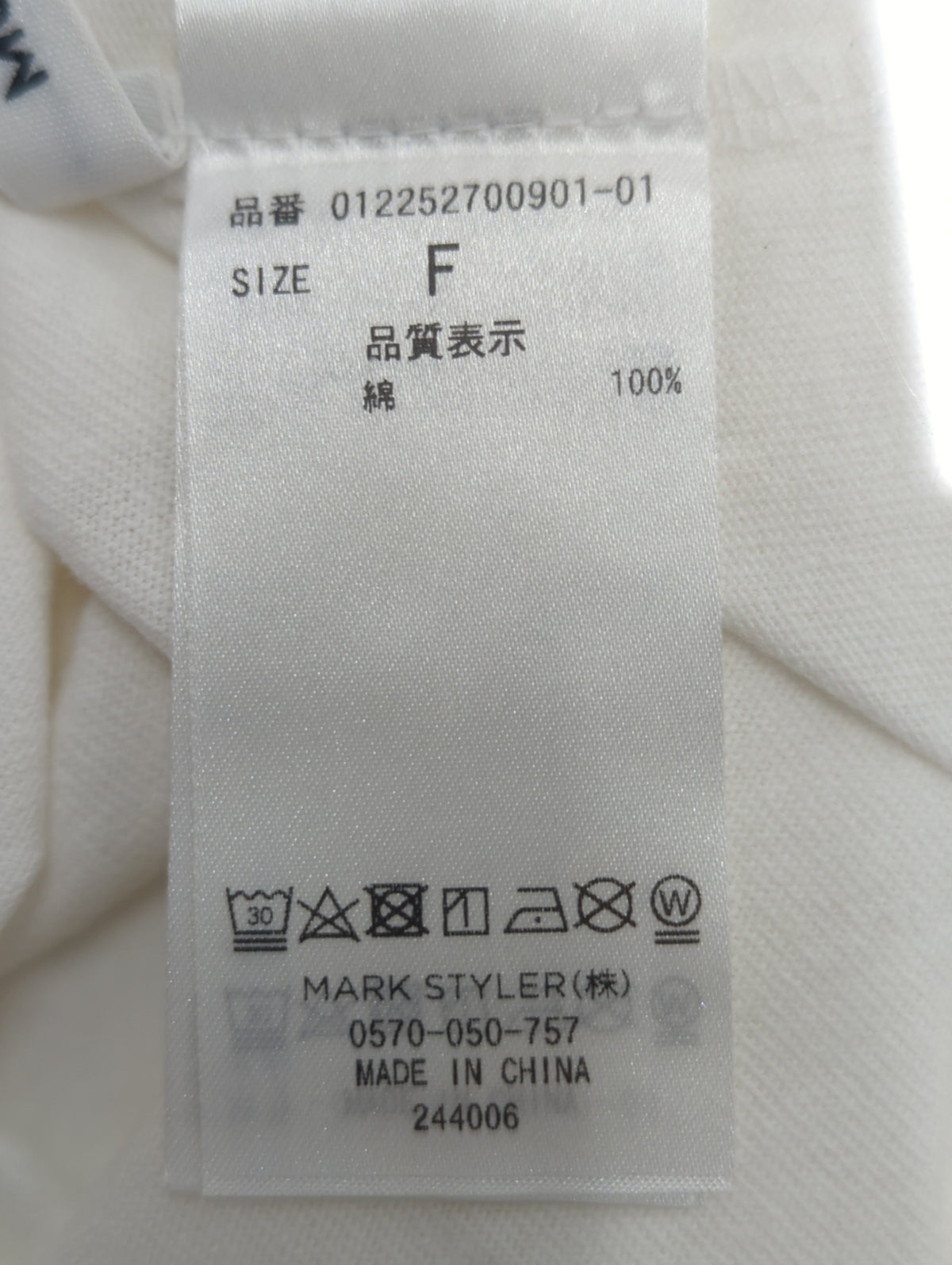 カレッジロゴTシャツ