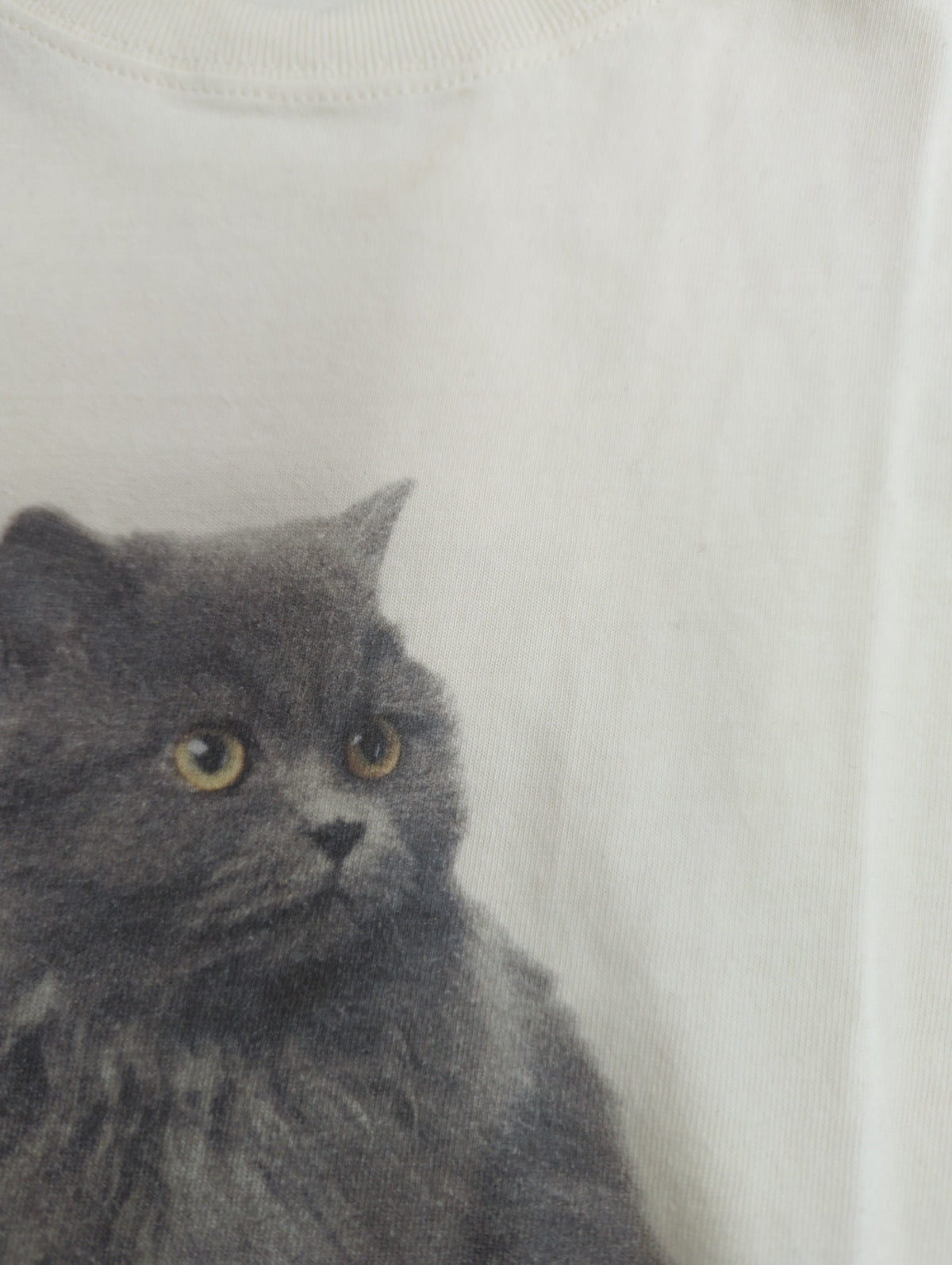 キャットフィット Tシャツ