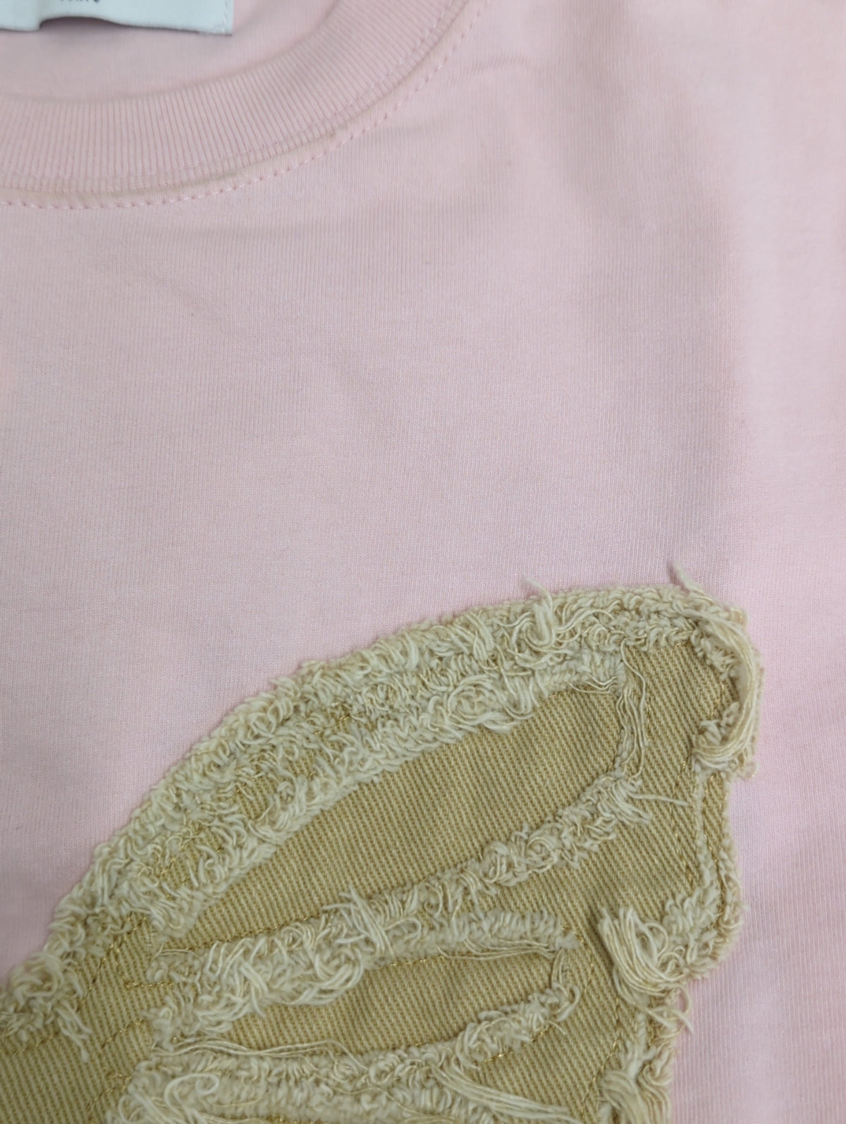 バタフライドッキング Tシャツ