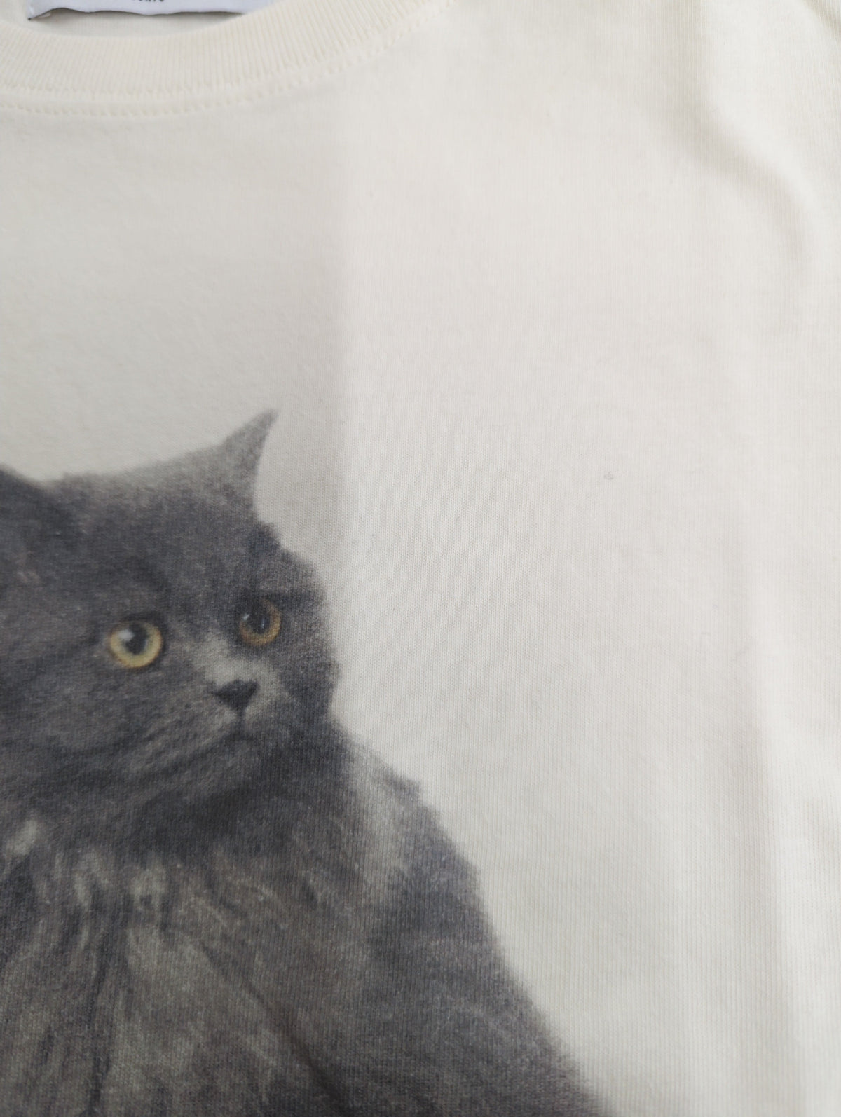 キャットフィット Tシャツ
