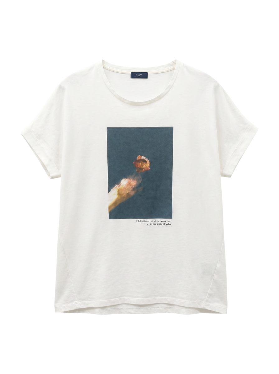 SHIPS:Tシャツ/カットソー