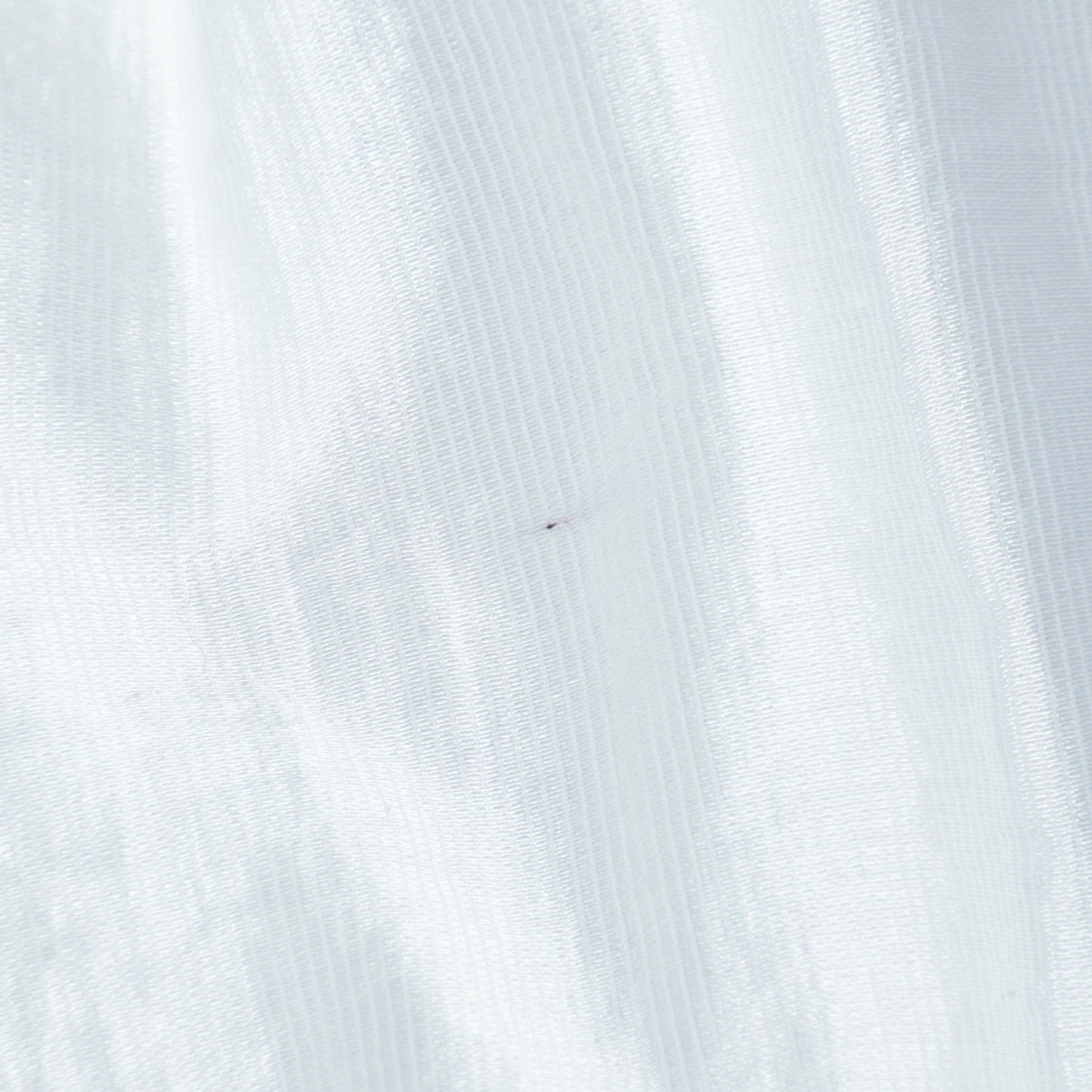 quaranciel:〈洗濯機可能〉シアー ギャザー クルーネック シャツ ブラウス