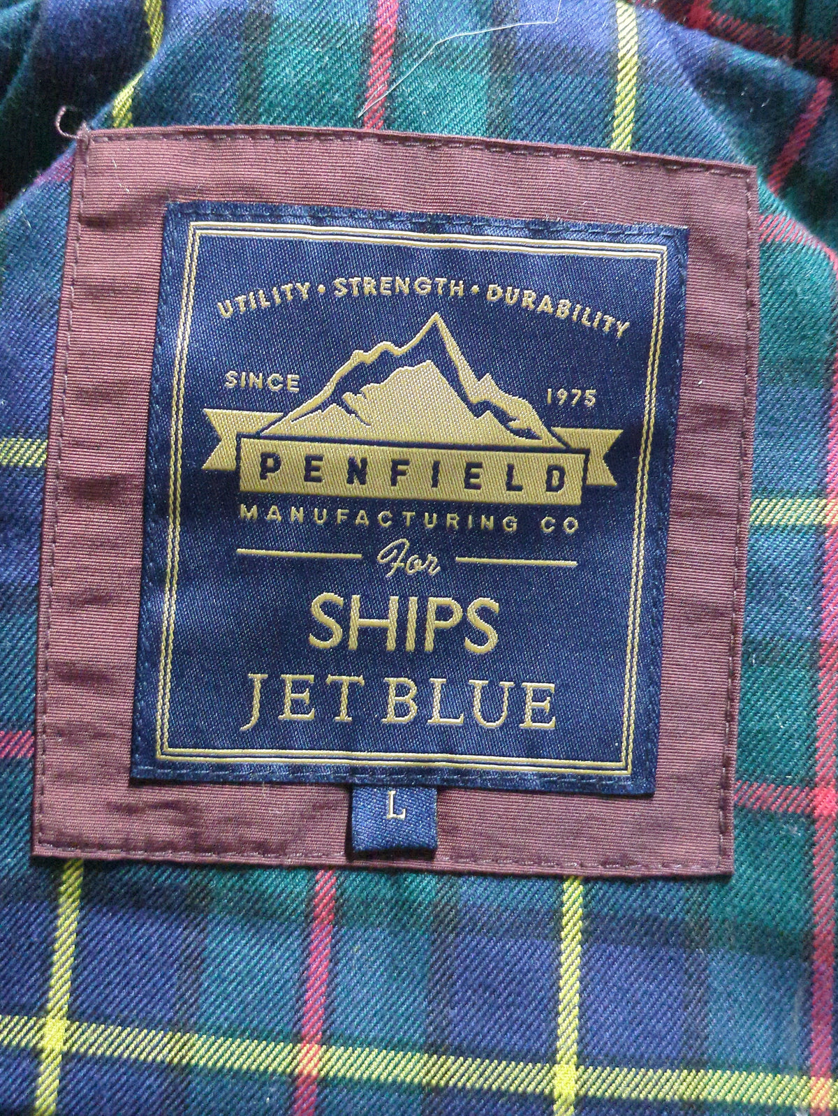 PENFIELD:ダウン
