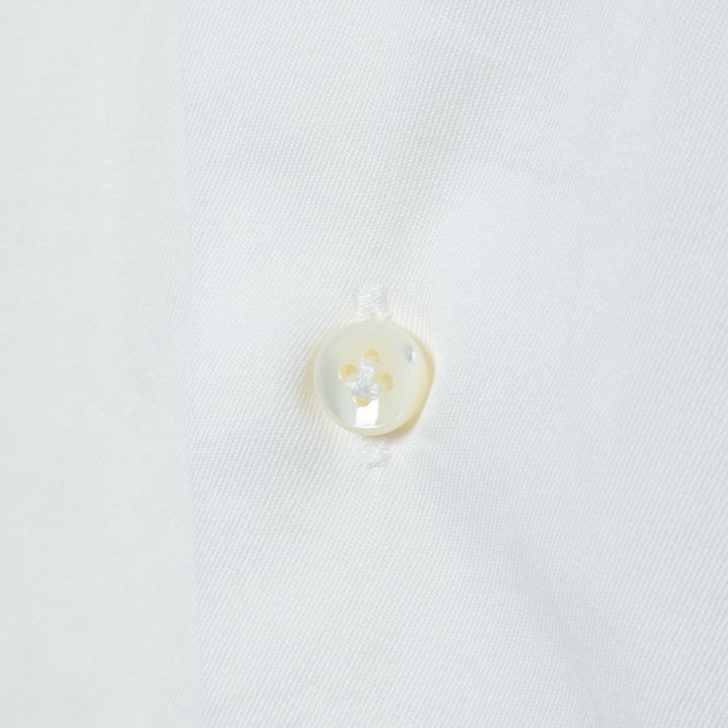 Made in Italy: ツイル ソリッド タブカラー