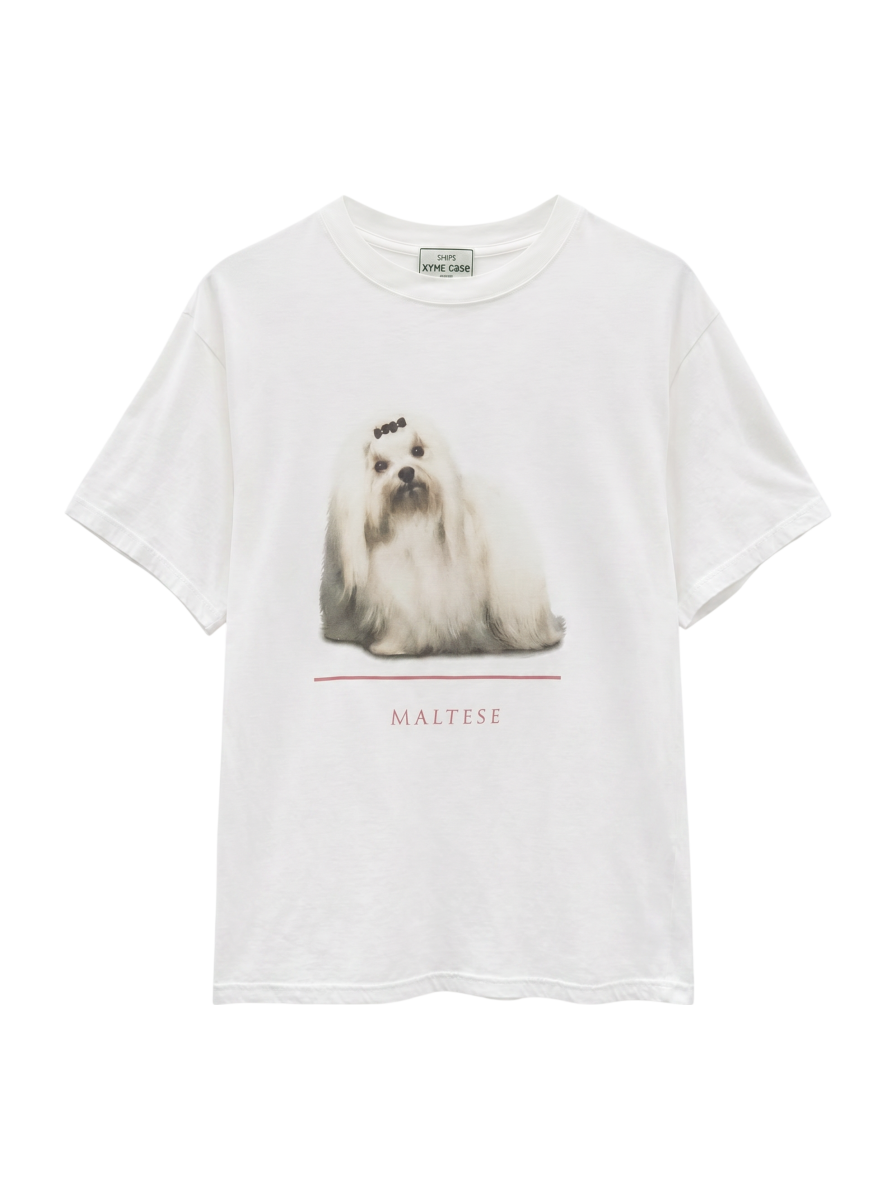 SHIPS:Tシャツ/カットソー