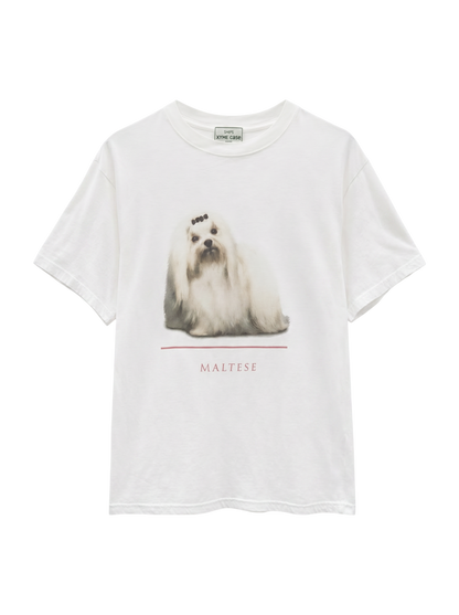 SHIPS:Tシャツ/カットソー