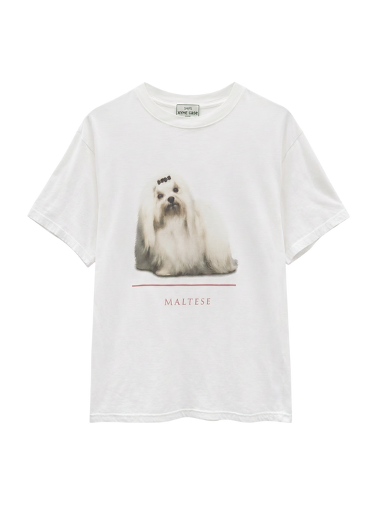 SHIPS:Tシャツ/カットソー