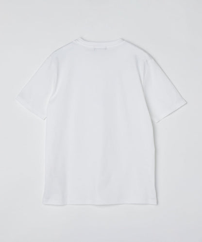 SHIPS: ALBINI クルーネック 無地 Tシャツ