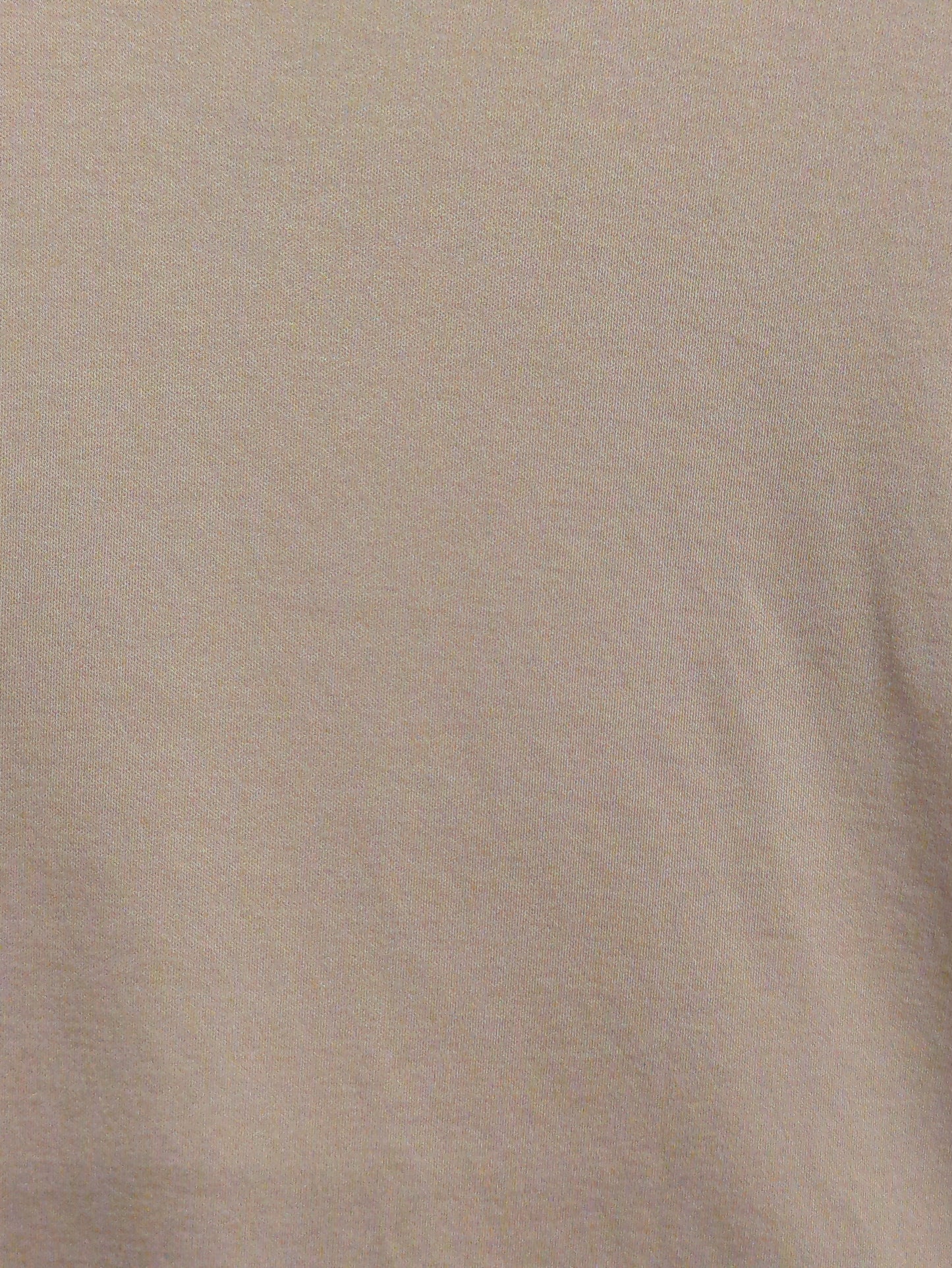 ALBINI ビッグTシャツ