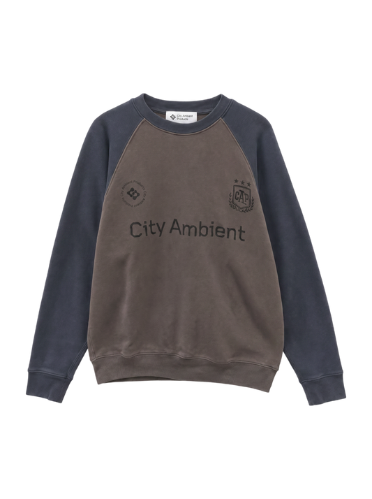 City Ambient Products: ラグランスリーブ プリント スウェット