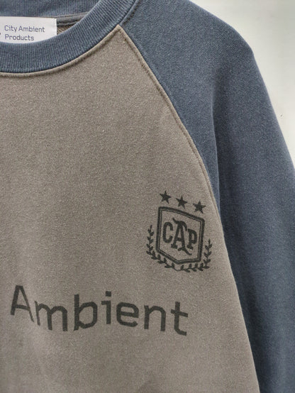 City Ambient Products: ラグランスリーブ プリント スウェット