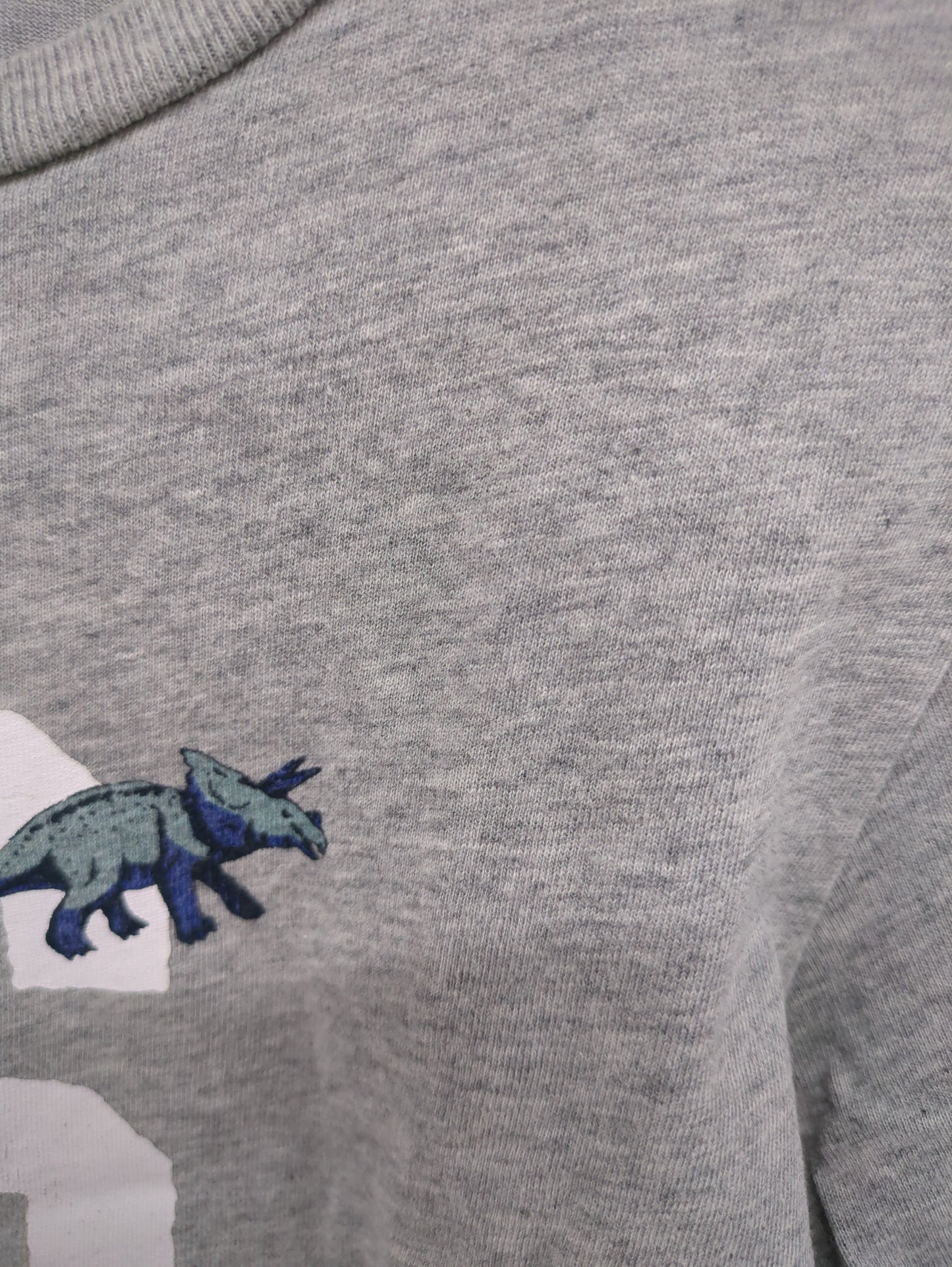 SHIPS KIDS:Sロゴ×恐竜 プリント 長袖 TEE(100〜130cm)
