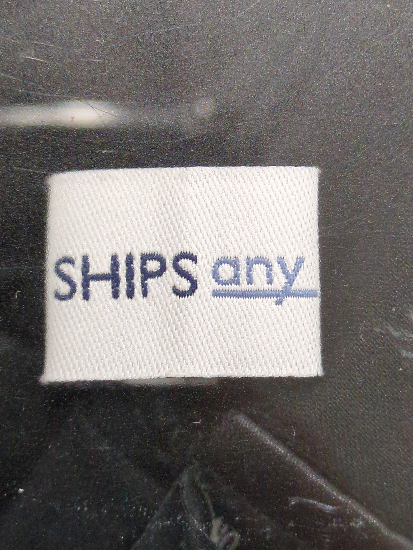 SHIPS any:ボイルピンタックブラウス