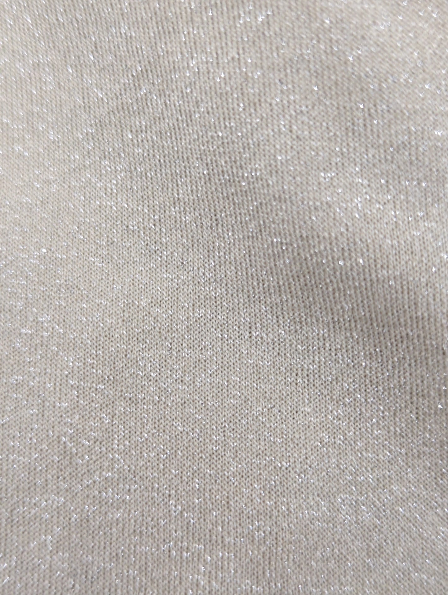 ラメシアーカットトップス