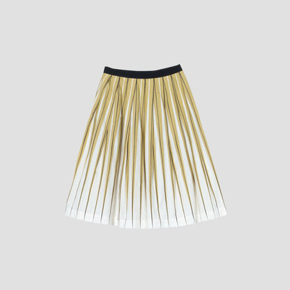RYE PRINT SKIRT